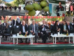 Mut Zeytin ve Zeytinya�� Festivali ba�lad�